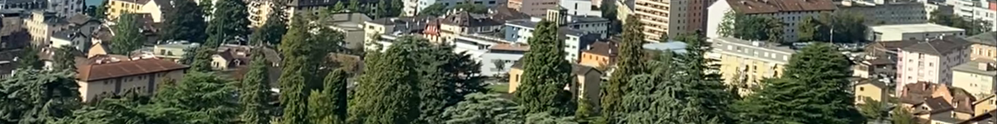Tours & experiences in Château-d'Oex