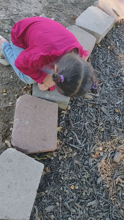 Children's Park - We spent 3 hours at this park, she was so in love with this frog. - Playgrounds Near Me - San Marcos, Texas