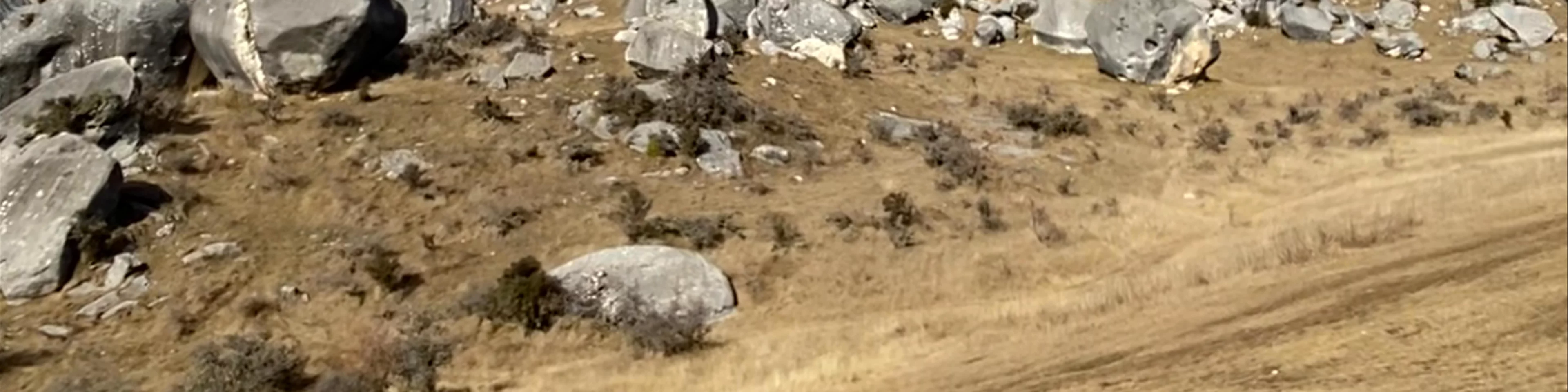 Castle Hill