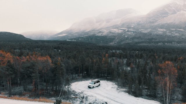 Car in the forest