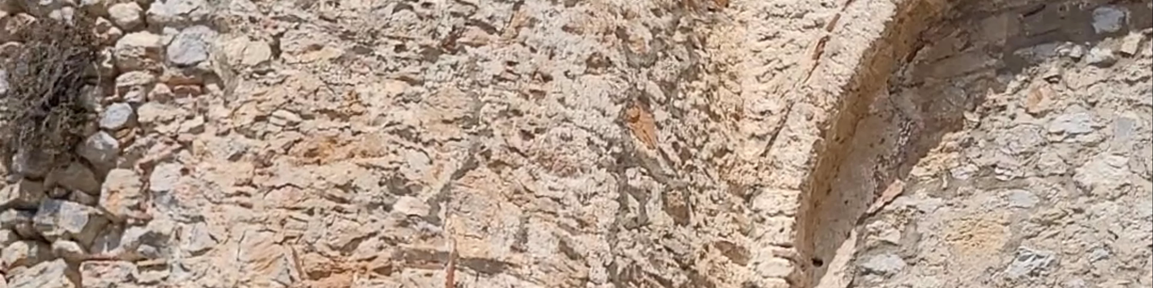 Samuel's Fortress