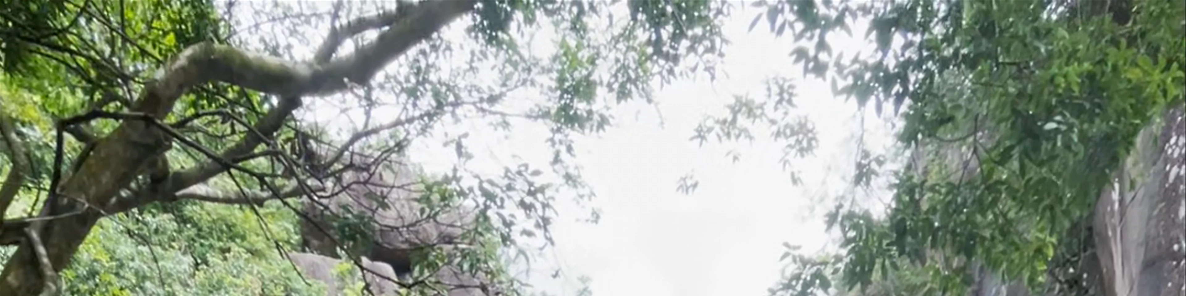 Tai Shui Hang waterfall hike
