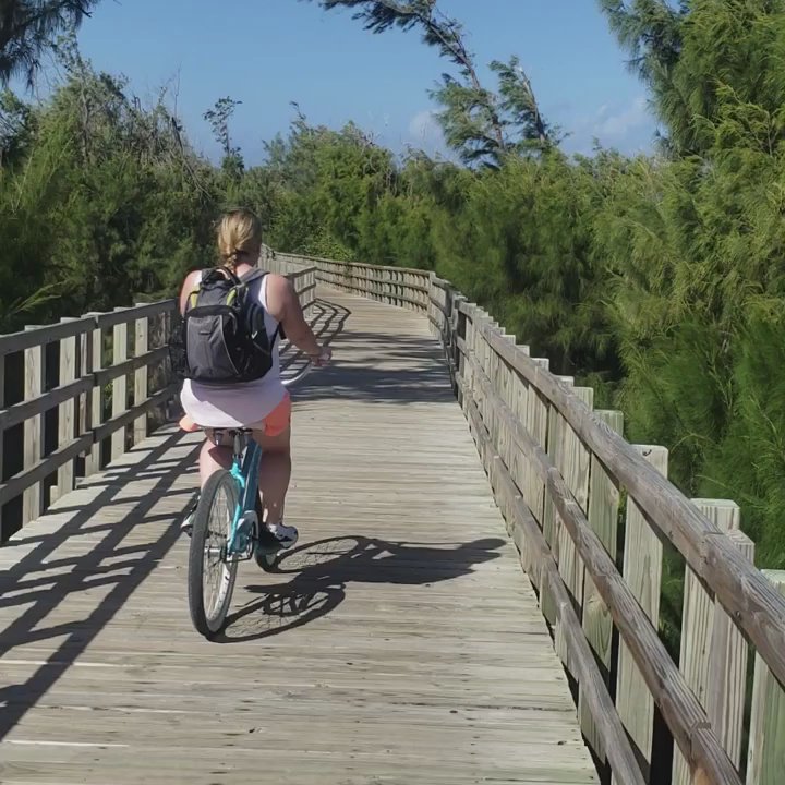 Pedalea Isabela - Family Day, Fun weekend - Cafes Near Me - Isabela, Puerto Rico