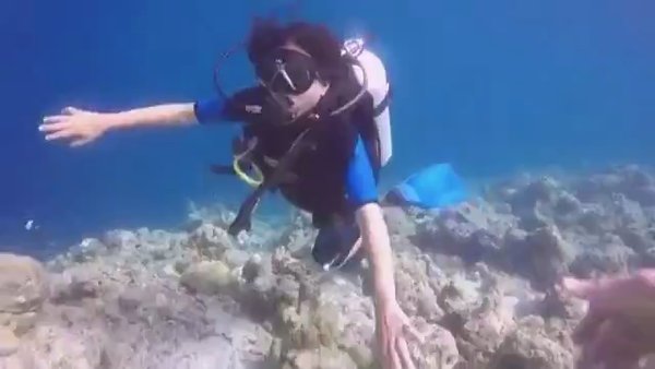 Photo of A video that I will 