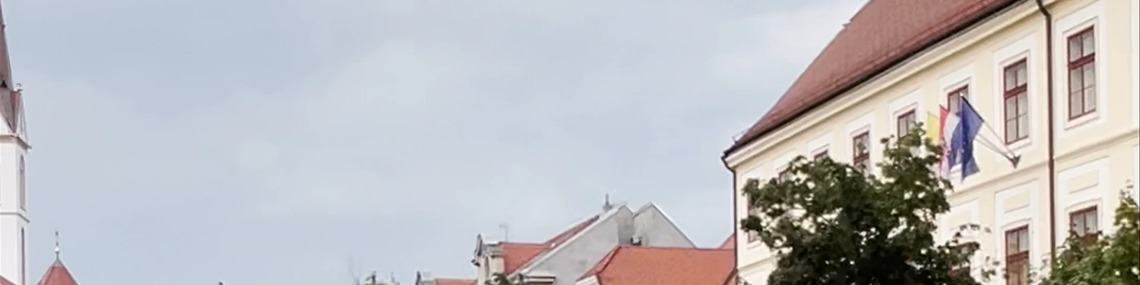 Crkva sv. Franje