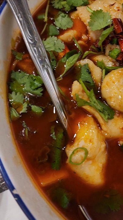 Chef Wu - Our spread - Szechuan Near Me - Roswell, Georgia