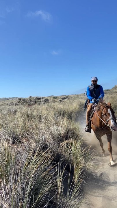 Chanslor Ranch - By the end of our ride, Ramiro had us galloping as if we had been riding for years - It was truly a phenomenal day!!! - Guest Houses Near Me - Bodega Bay, California