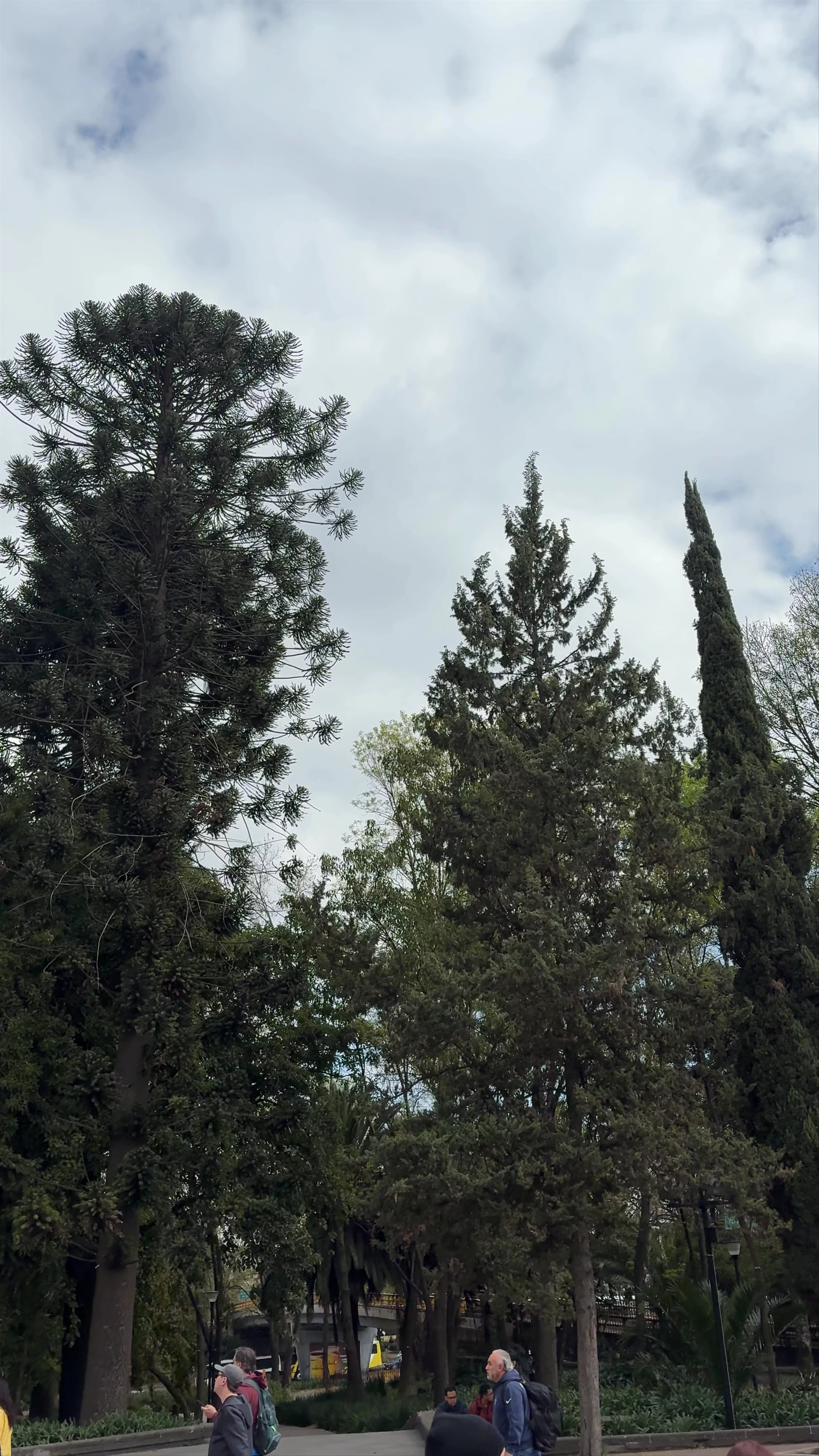 Altar a la Patria, Bosque de Chapultepec I Sección