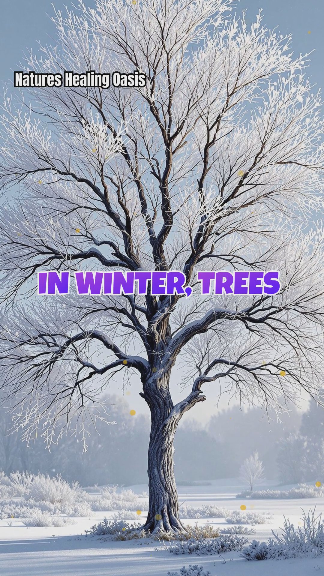 Resilience Lessons from Trees: Adapting Through Seasons