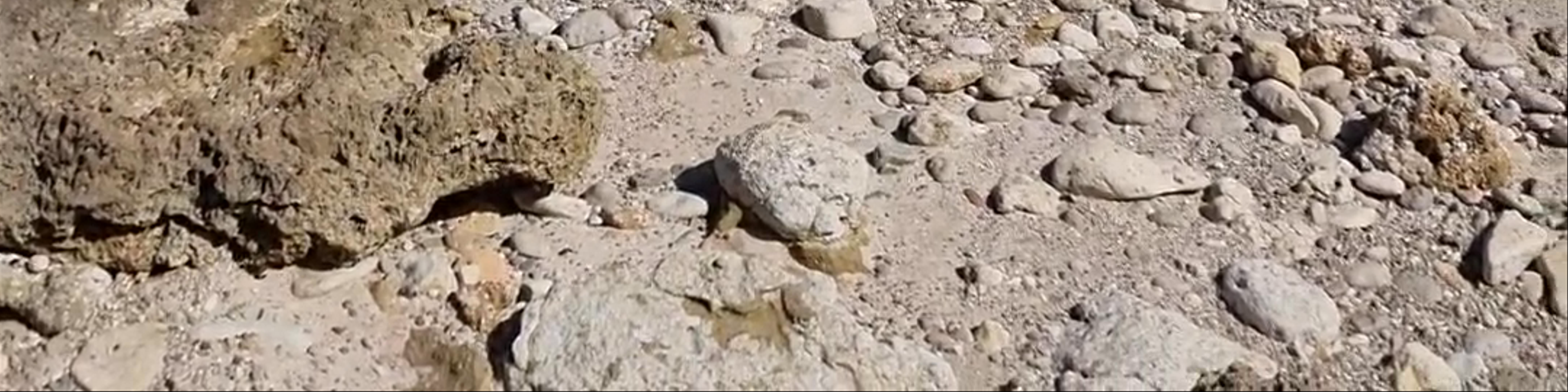 Oman