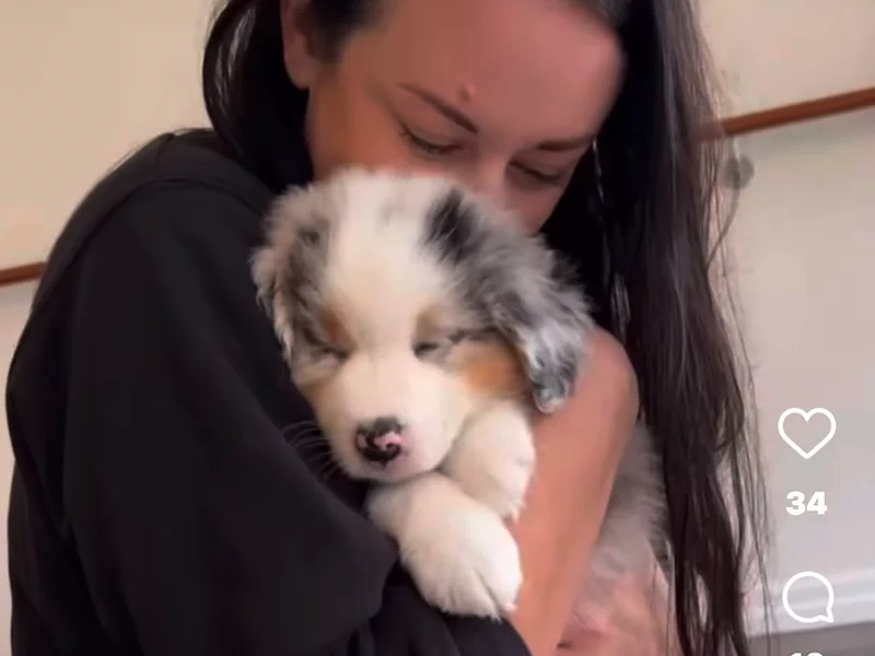 Soul Squeeze Puppy Yoga