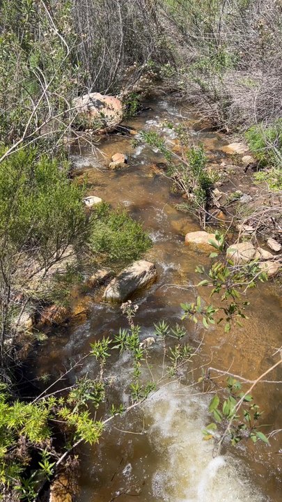 Lake Poway Trail - Stream - Hiking Near Me - Lake Poway, California