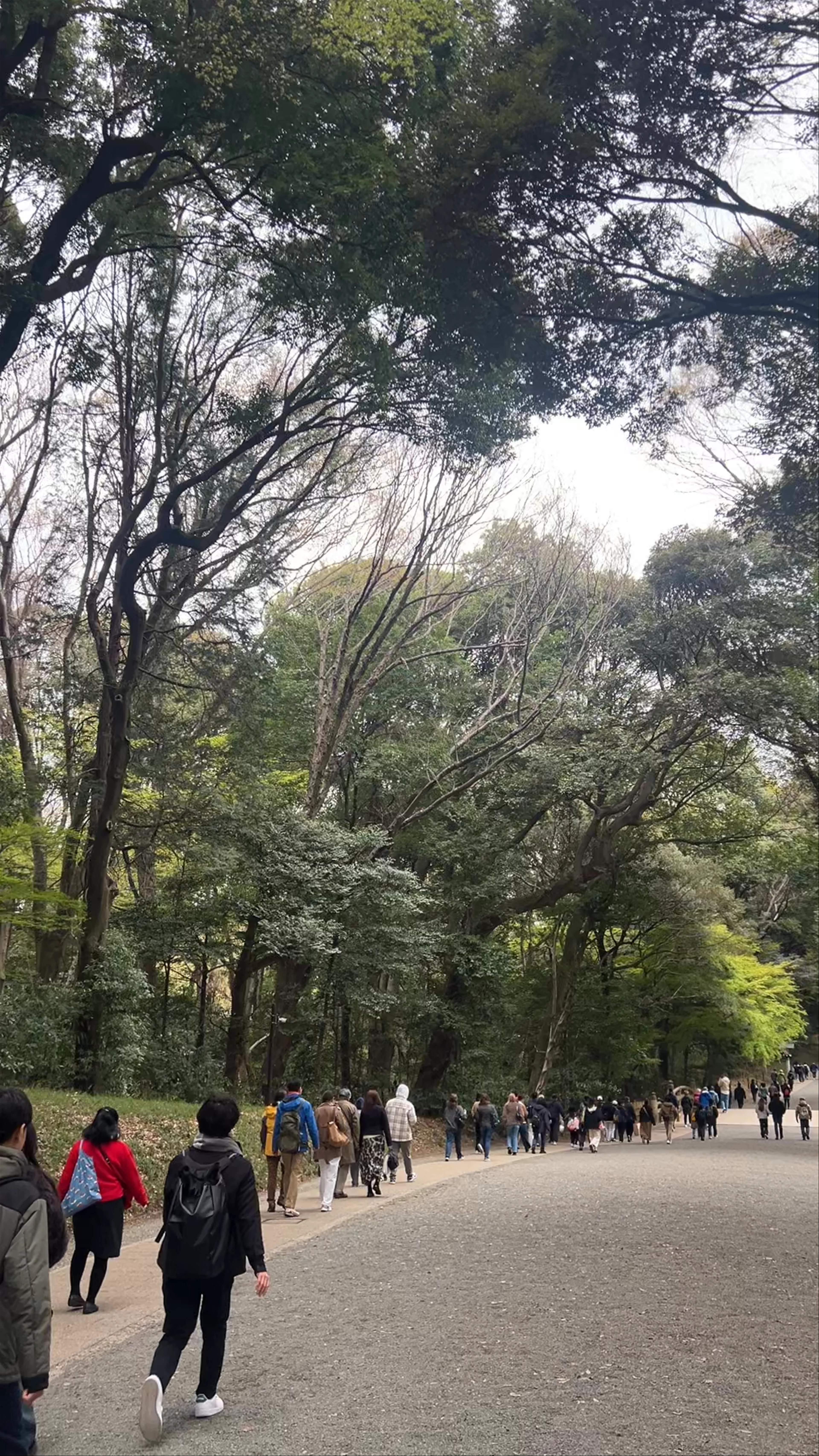 Meiji Jingu Gyoen