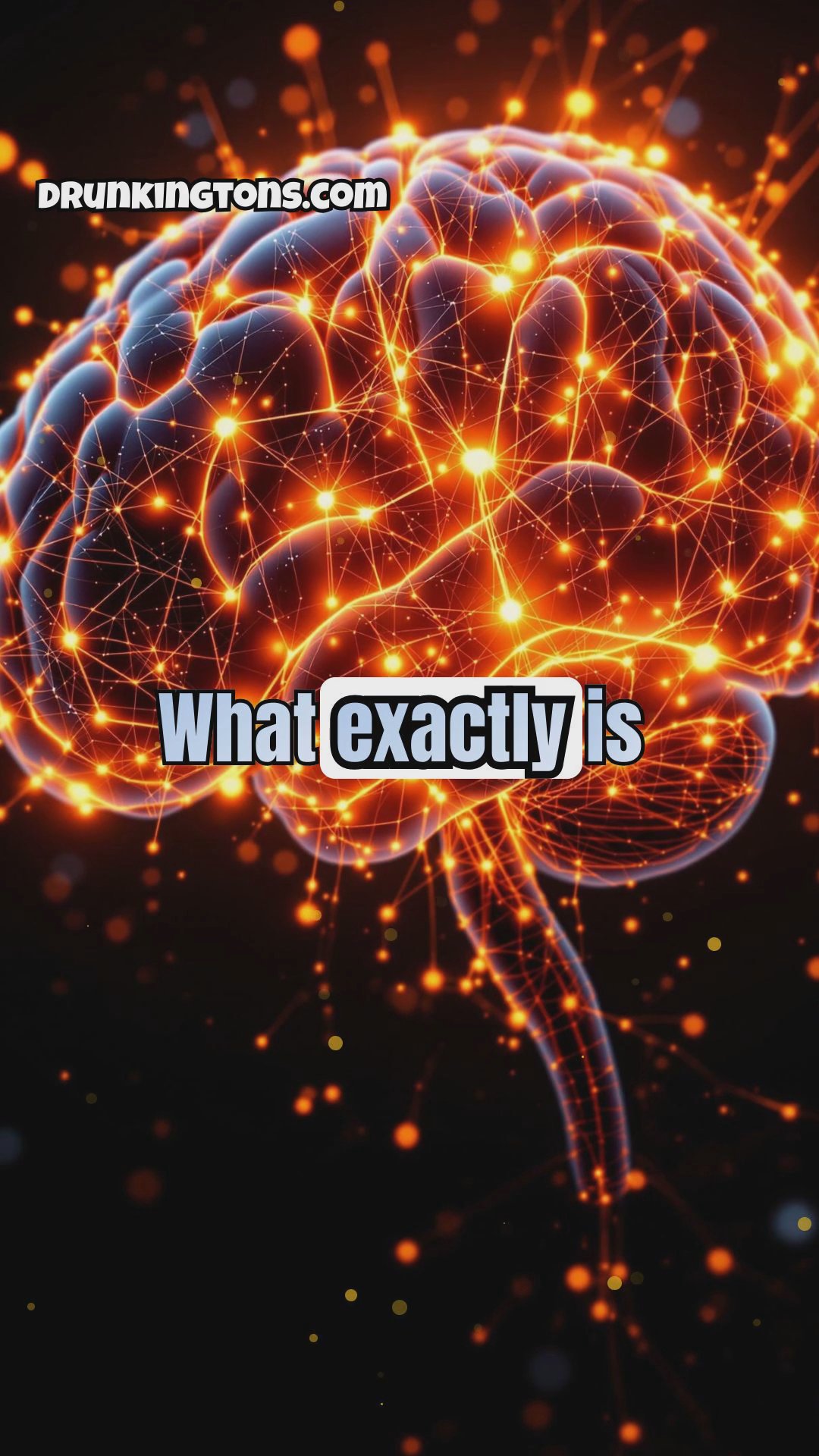 The Mysteries of the Human Mind: From Consciousness to Memory