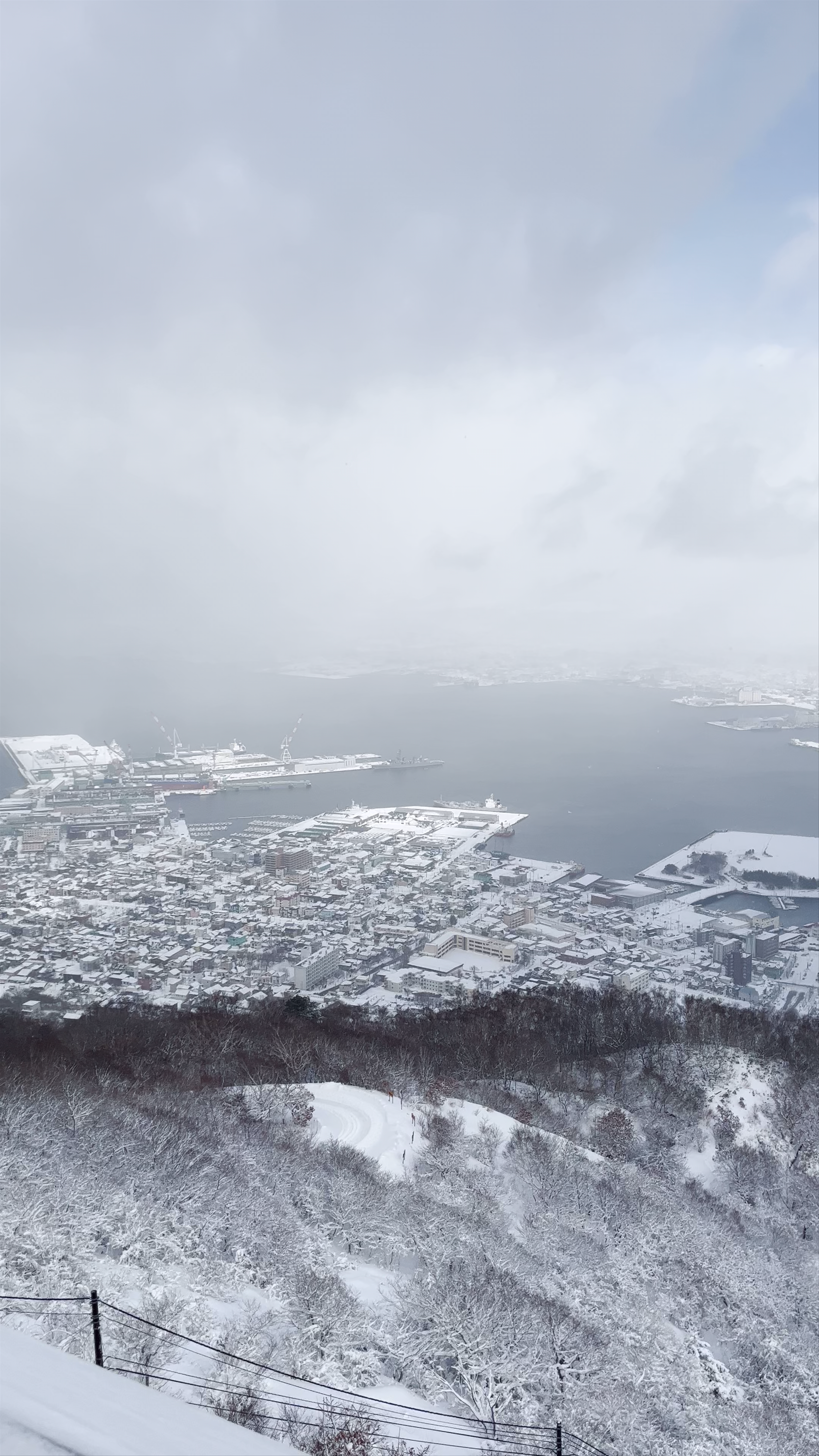 Mt. Hakodate Observatory