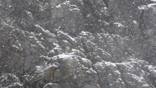 Falling Snow animated gif