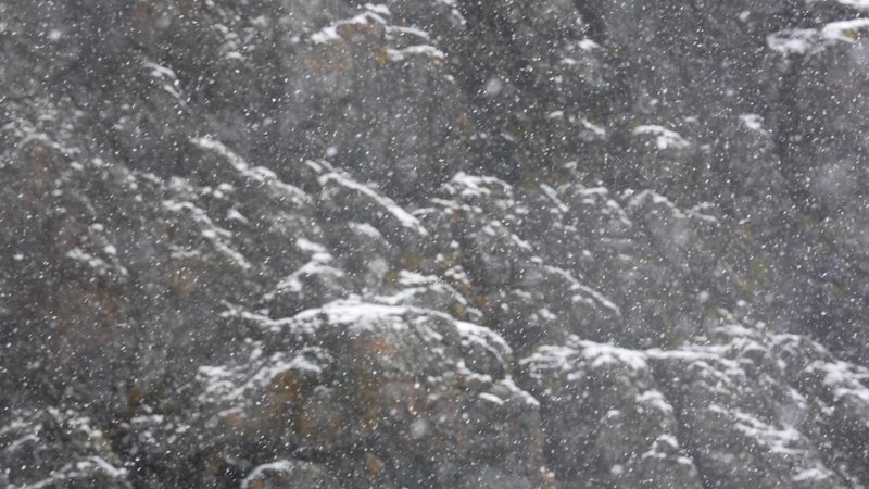 Falling Snow poster
