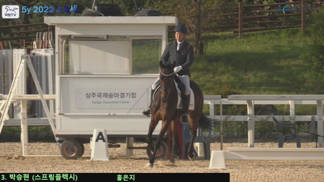 박승현 (스프링플렉시) — 제21회 어린말승마대회 · 마장마술 5y
