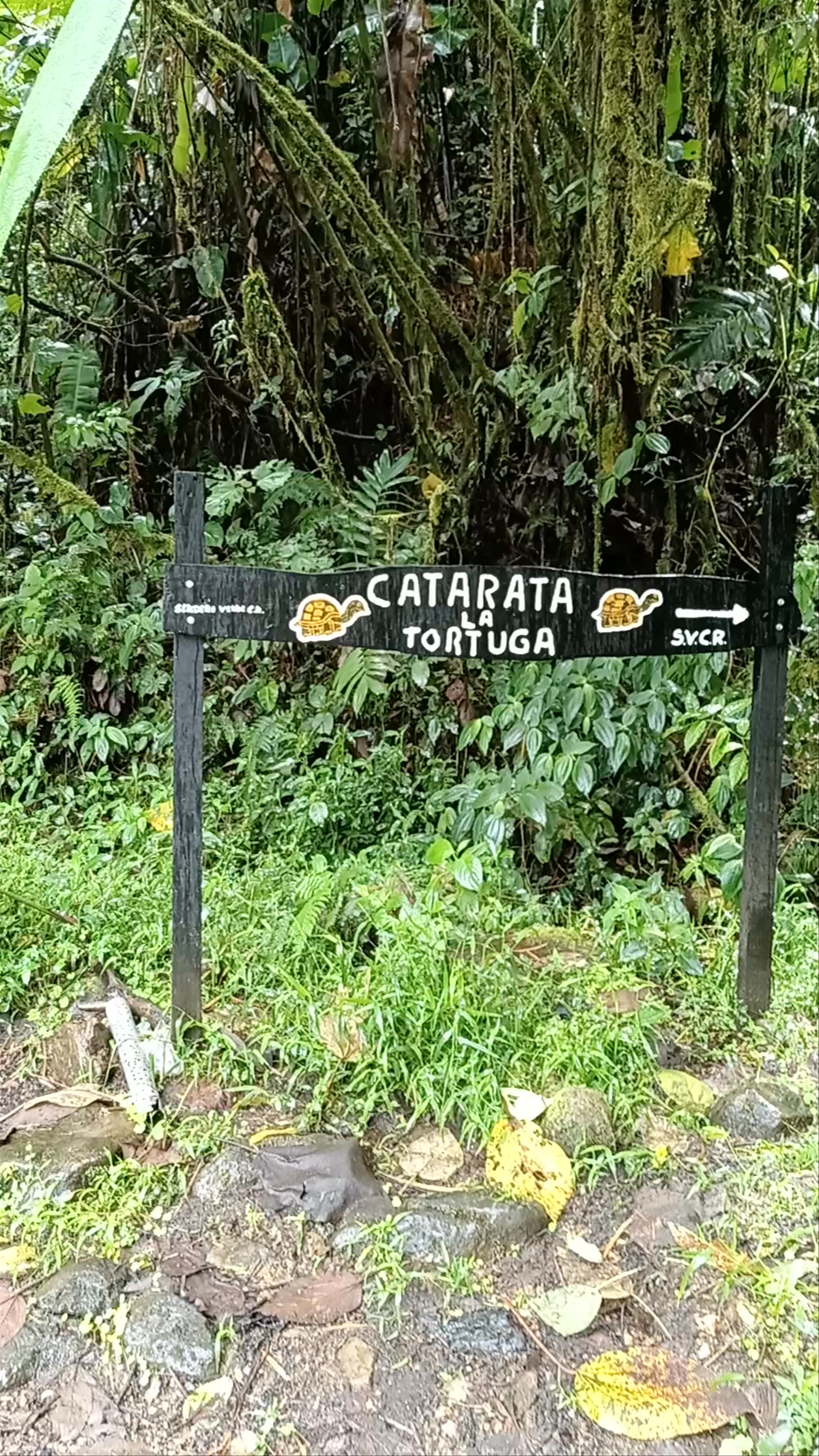 Catarata Cabeza de Tortuga
