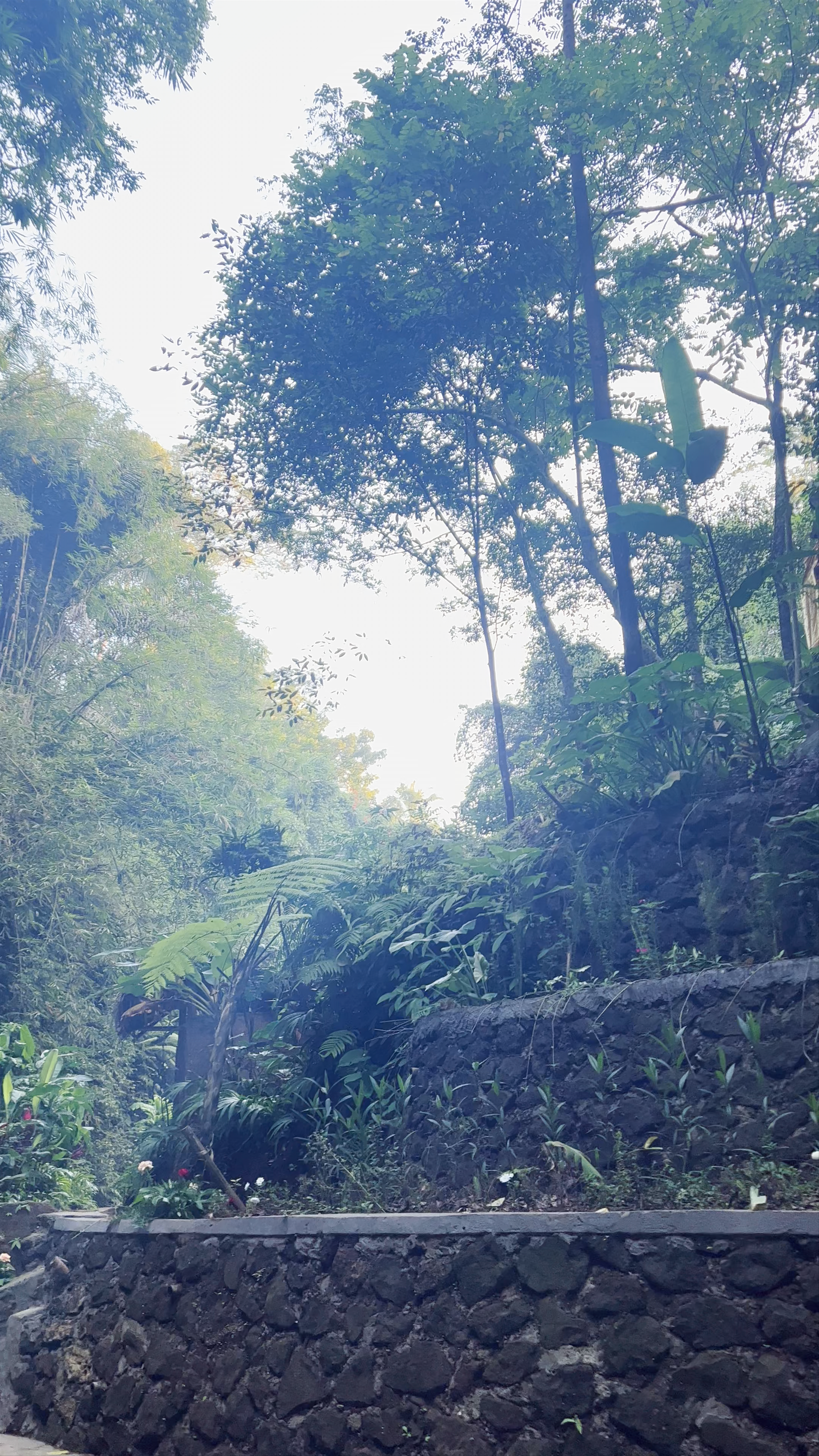 Tibumana Waterfall: A Serene Hidden Oasis in Bali