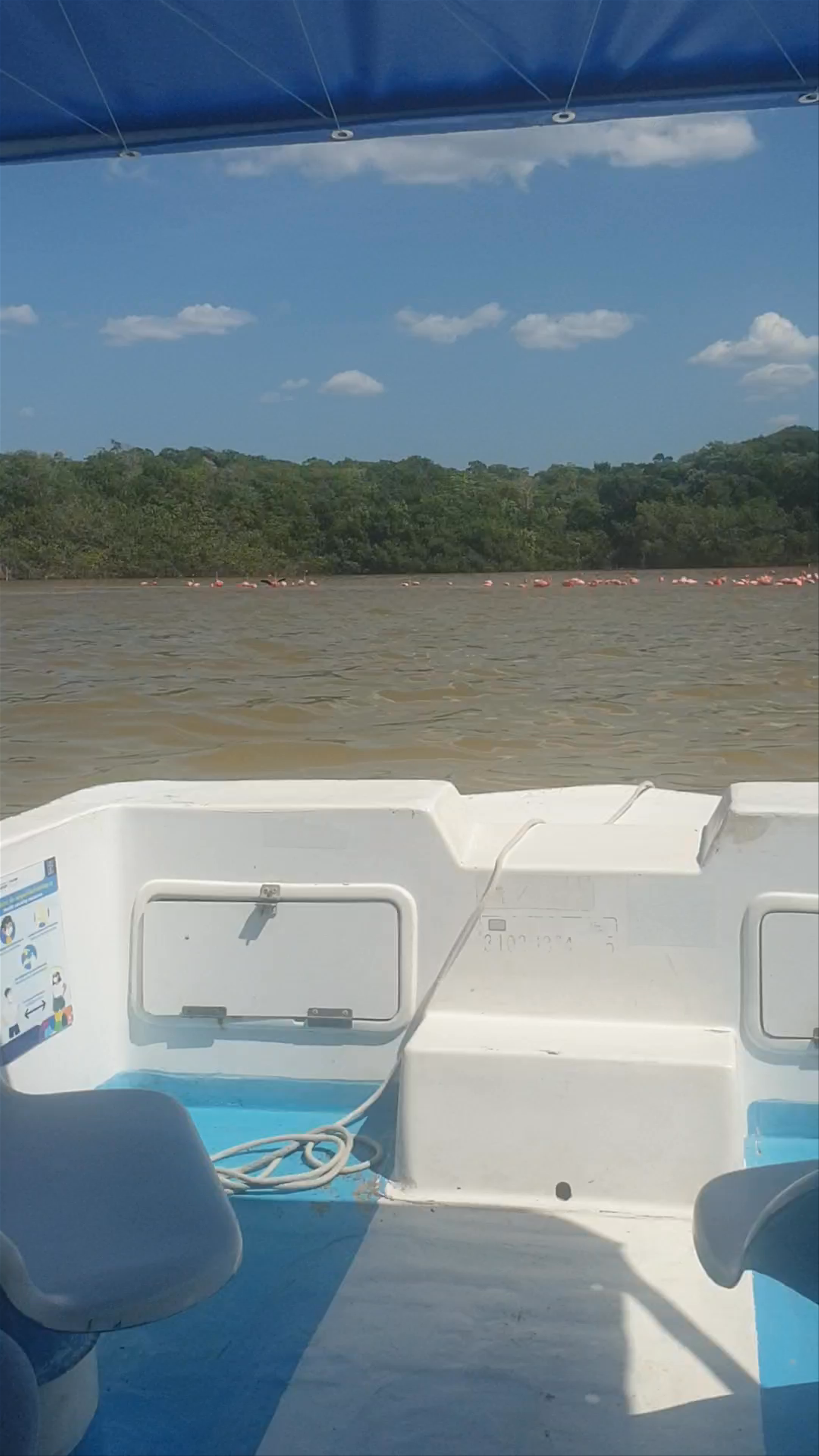 Reserva de la Biosfera Ría Celestún