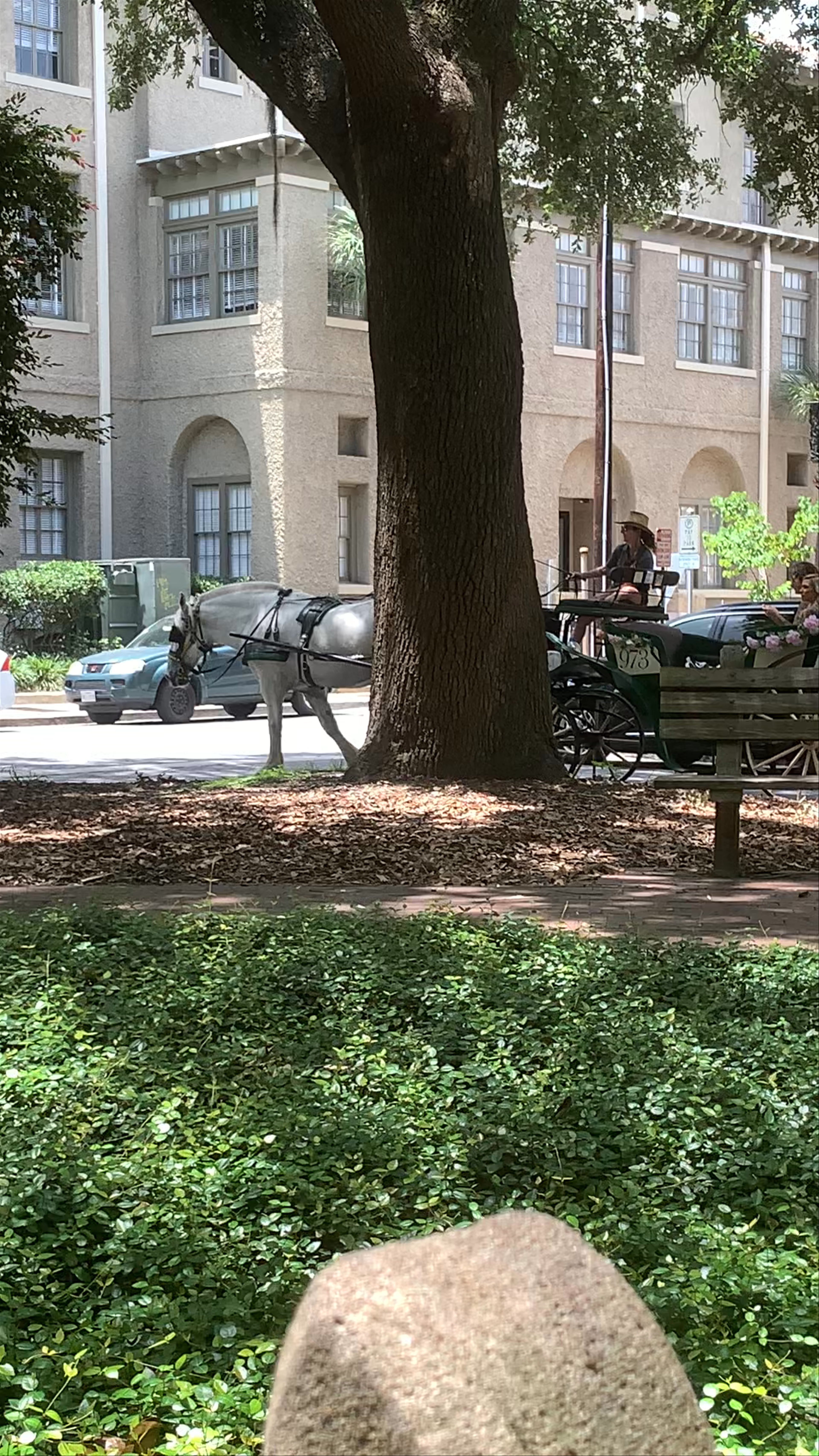 Savvanh Carriage Tours 