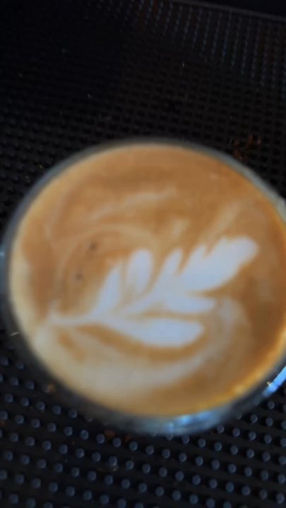 Grind Haus Coffee - Cortado - Coffee & Tea Near Me - Lutz, Florida