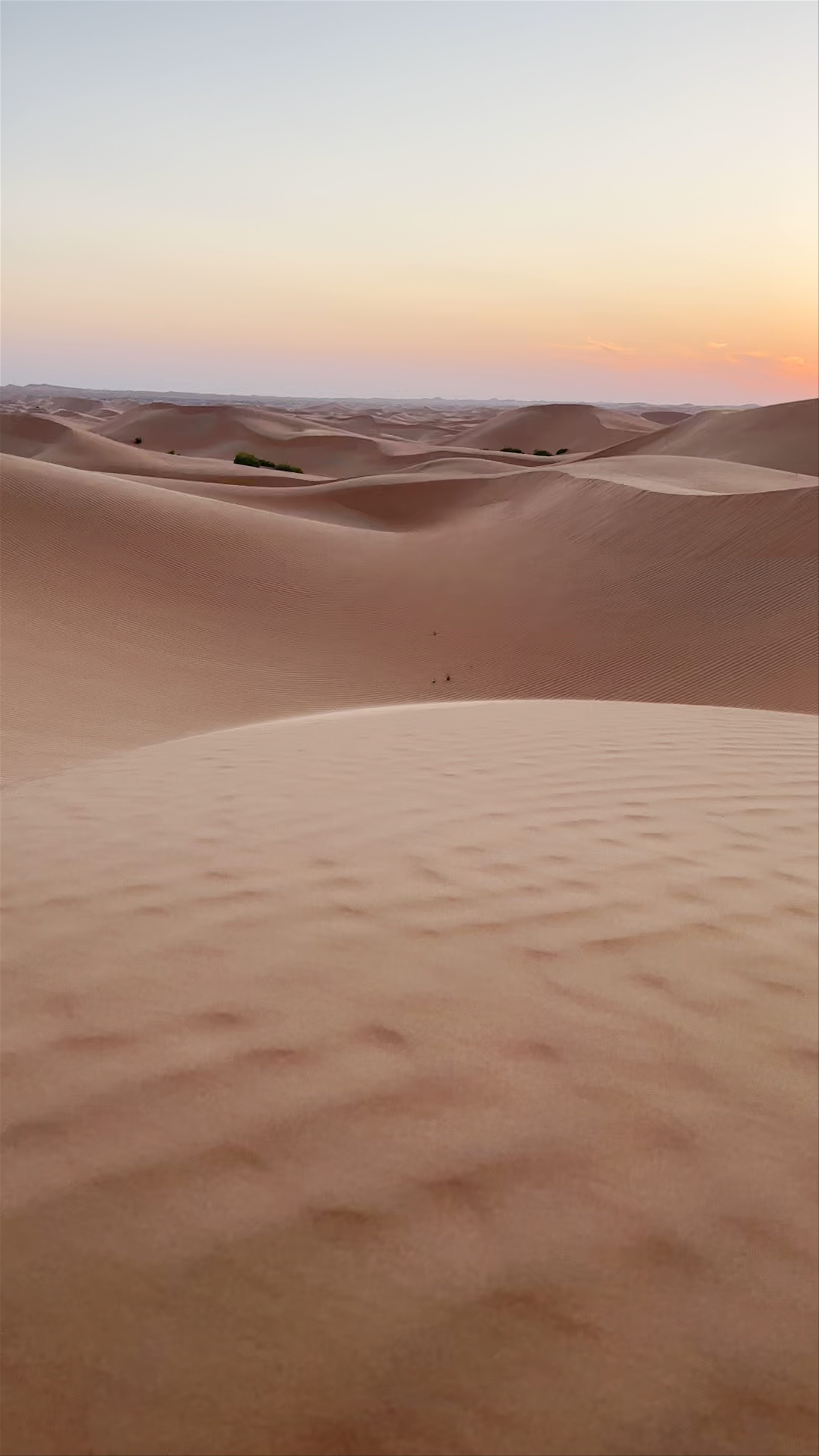 Sunset Serenity at Dubai Desert Conservation Reserve