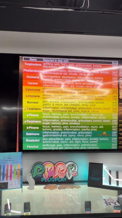 Loudpack Exotics - If you're interested in learning more about the plant and its medicinal properties, they have so much info posted! - Cannabis Dispensaries Near Me - Syracuse, New York