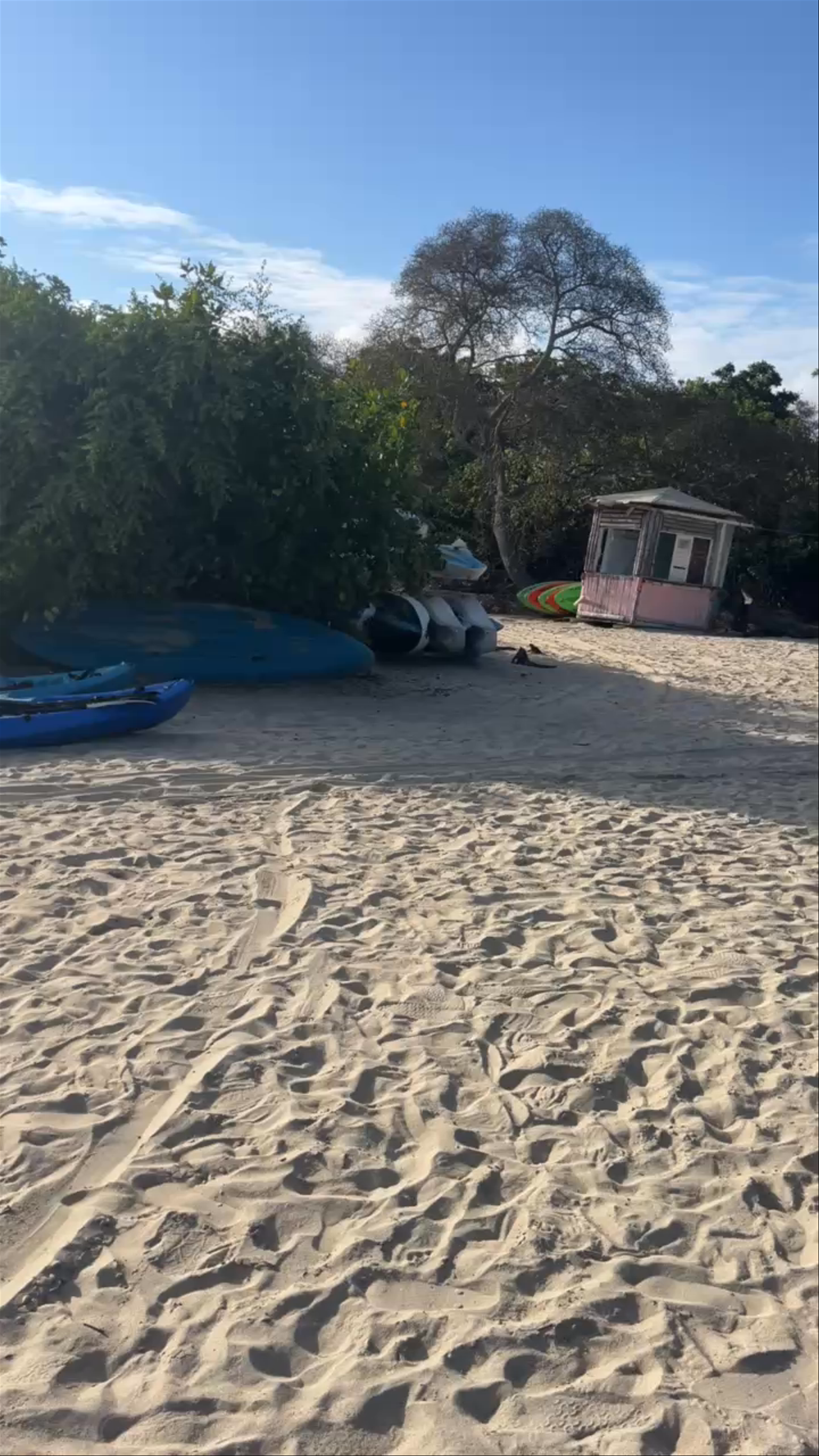 Playa Isabela