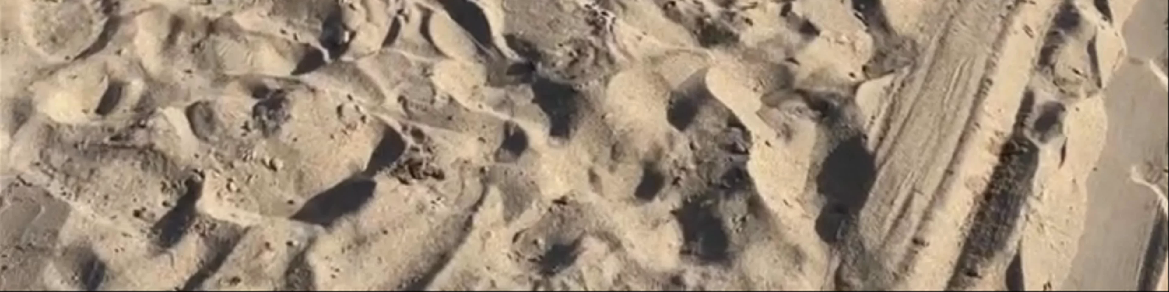 Playa Isabela