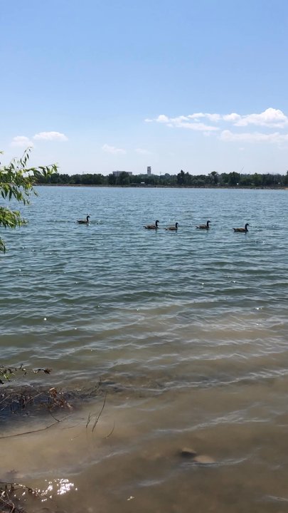 Jim Baker Reservoir - Lakes Near Me - Arvada, Colorado