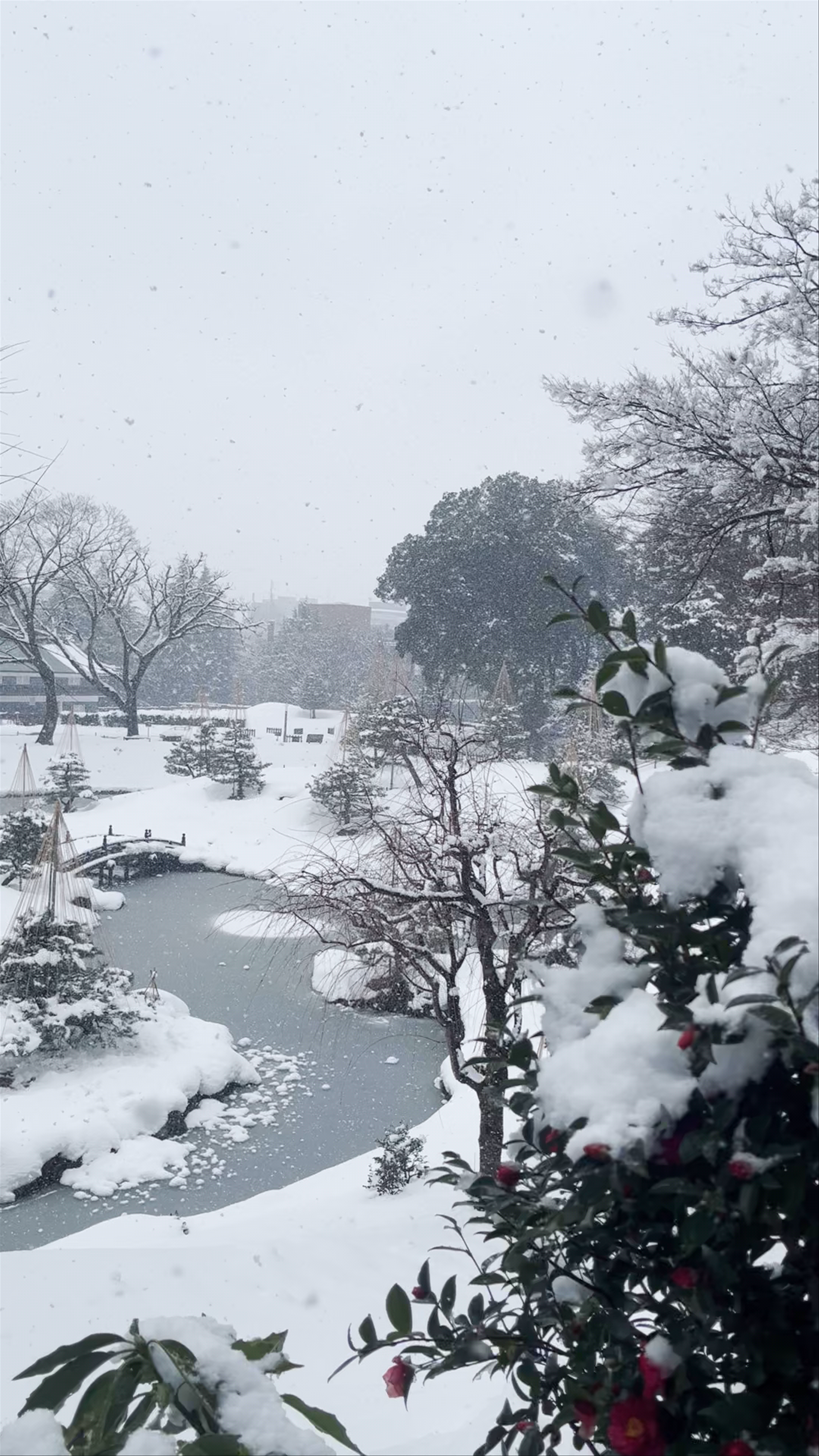 Gyokusen-inmaru Garden