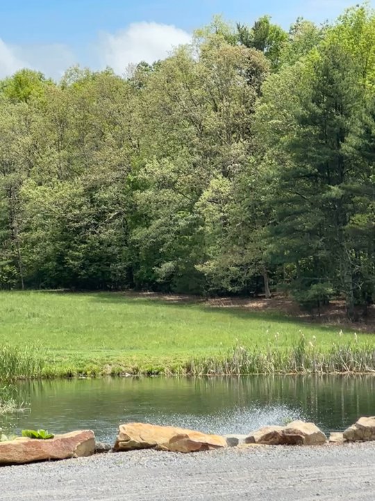 Weathered Ground Brewery - Pond view by the brewery. - Breweries Near Me - Ghent, West Virginia