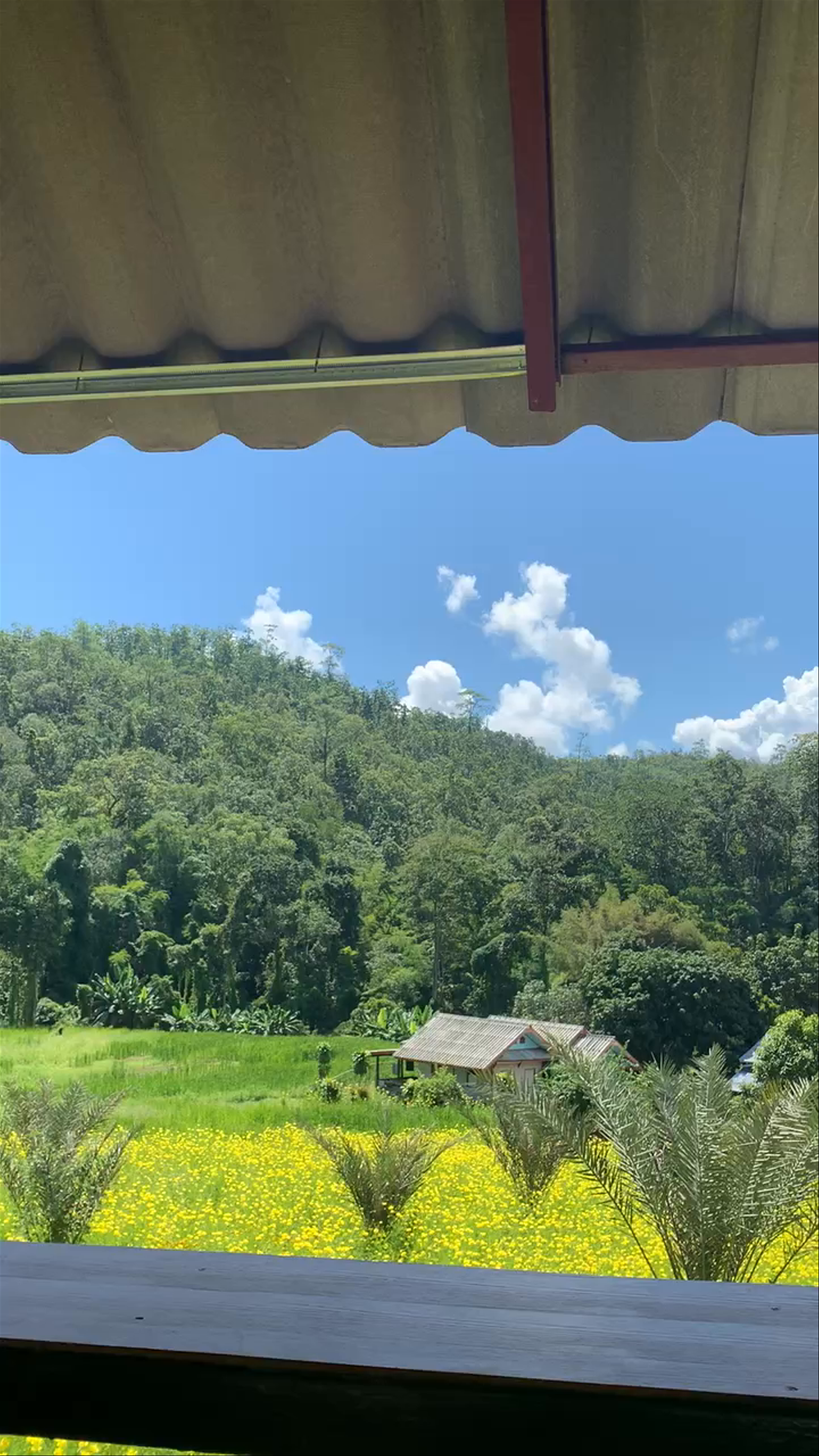 The Container@Pai