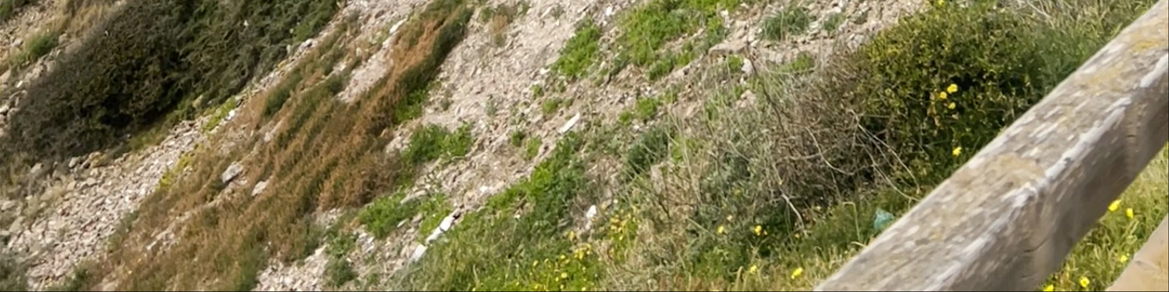 Faro de Portmán