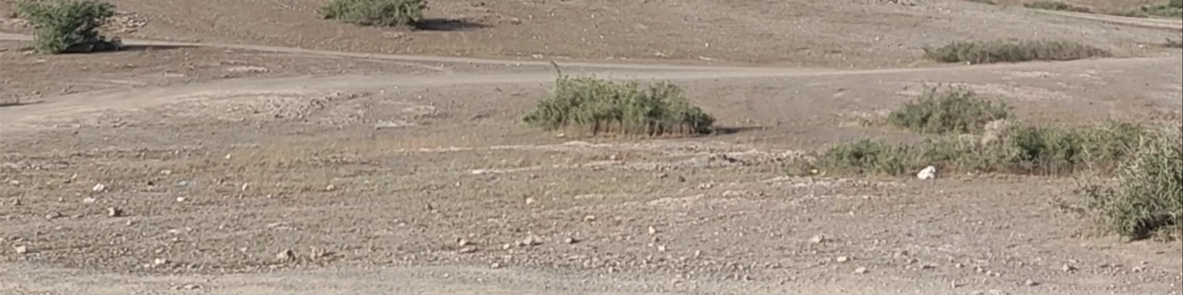 Agafay Desert (Désert d’Agafay)