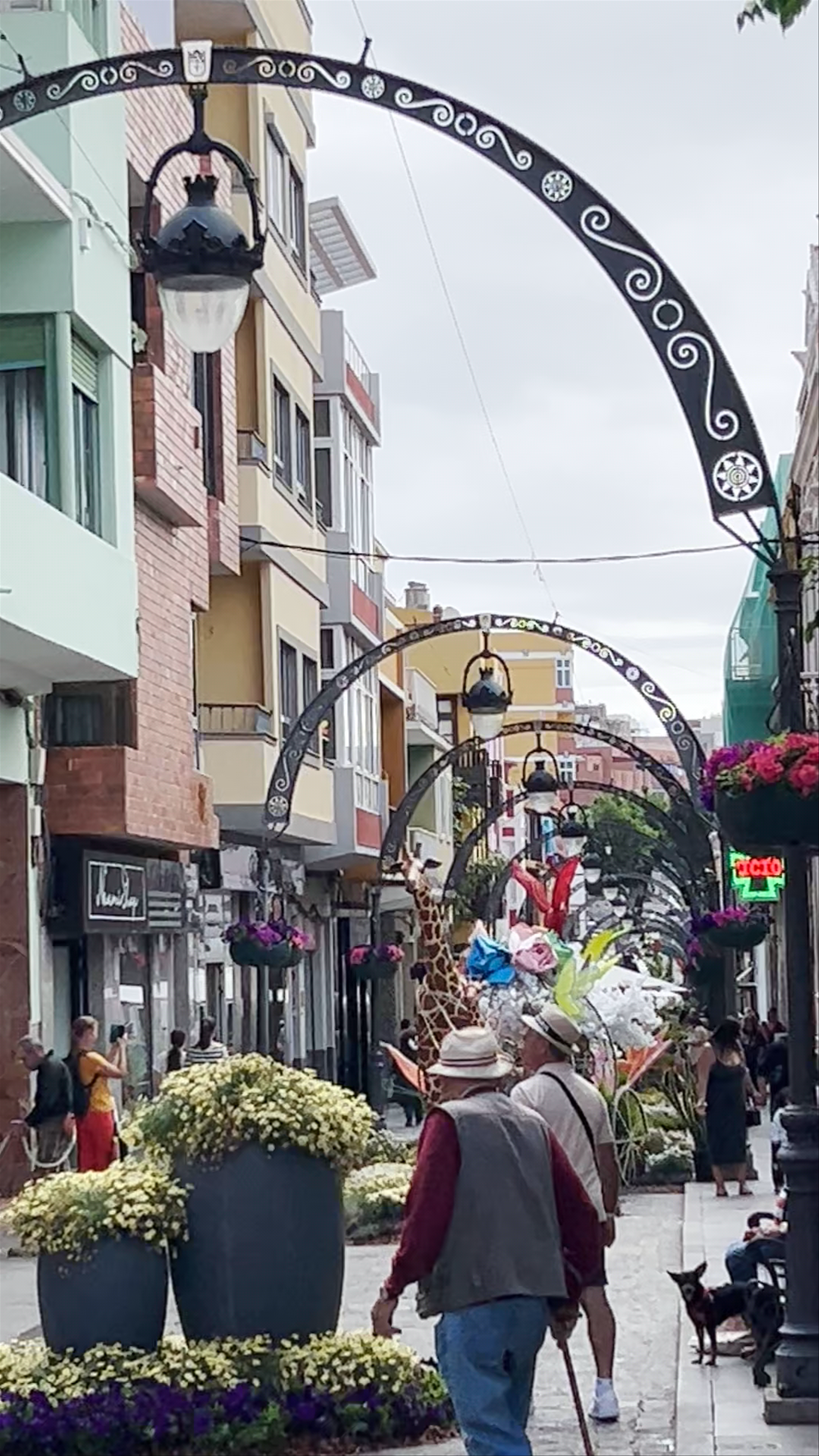 Calle Capitan Quesada