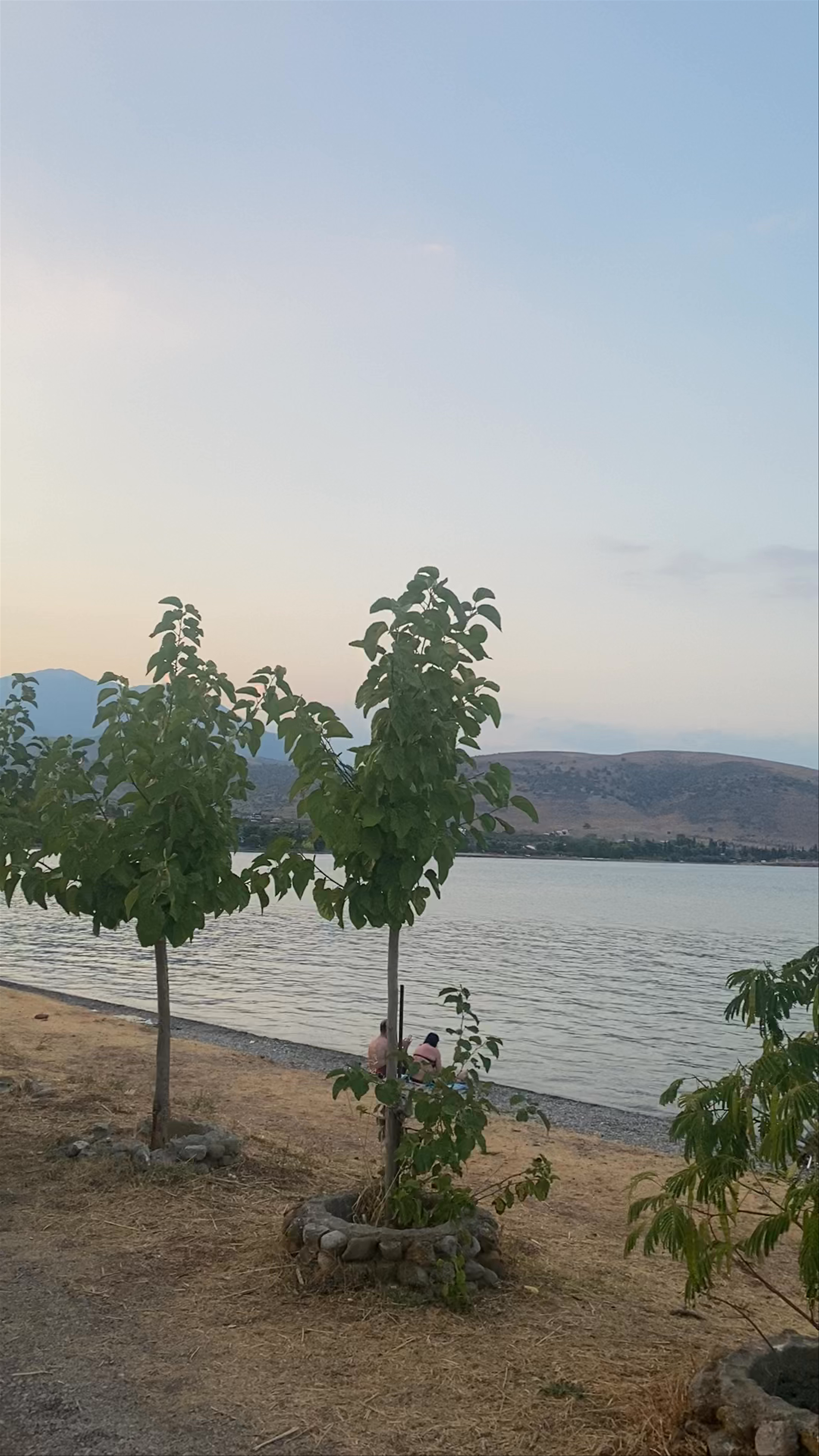 Kalafatis Galaxidi Beach Bar & Restaurant