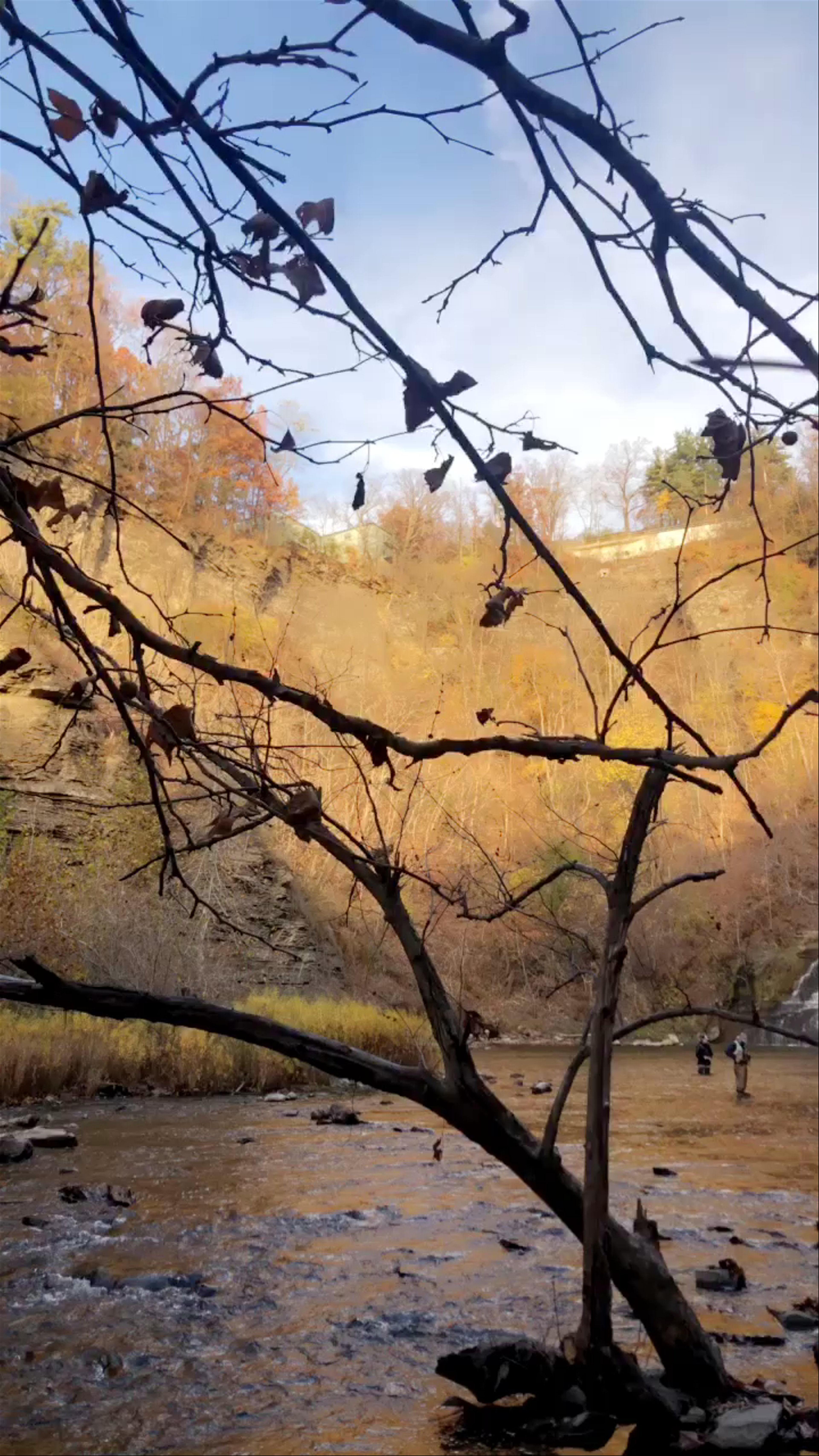Ithaca Falls: Nature’s Tranquil Autumn Escape in New York