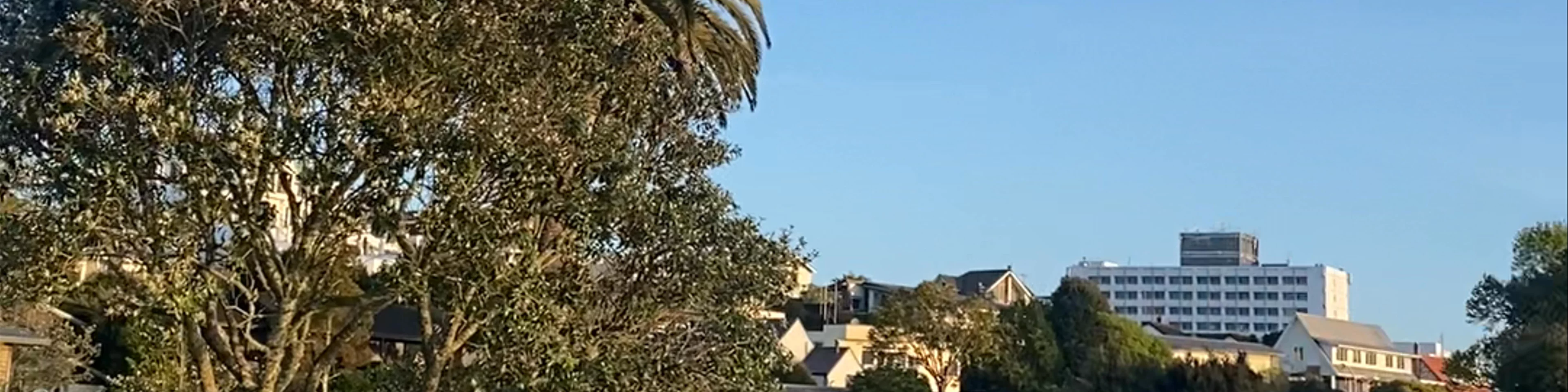 Lake Rotoroa