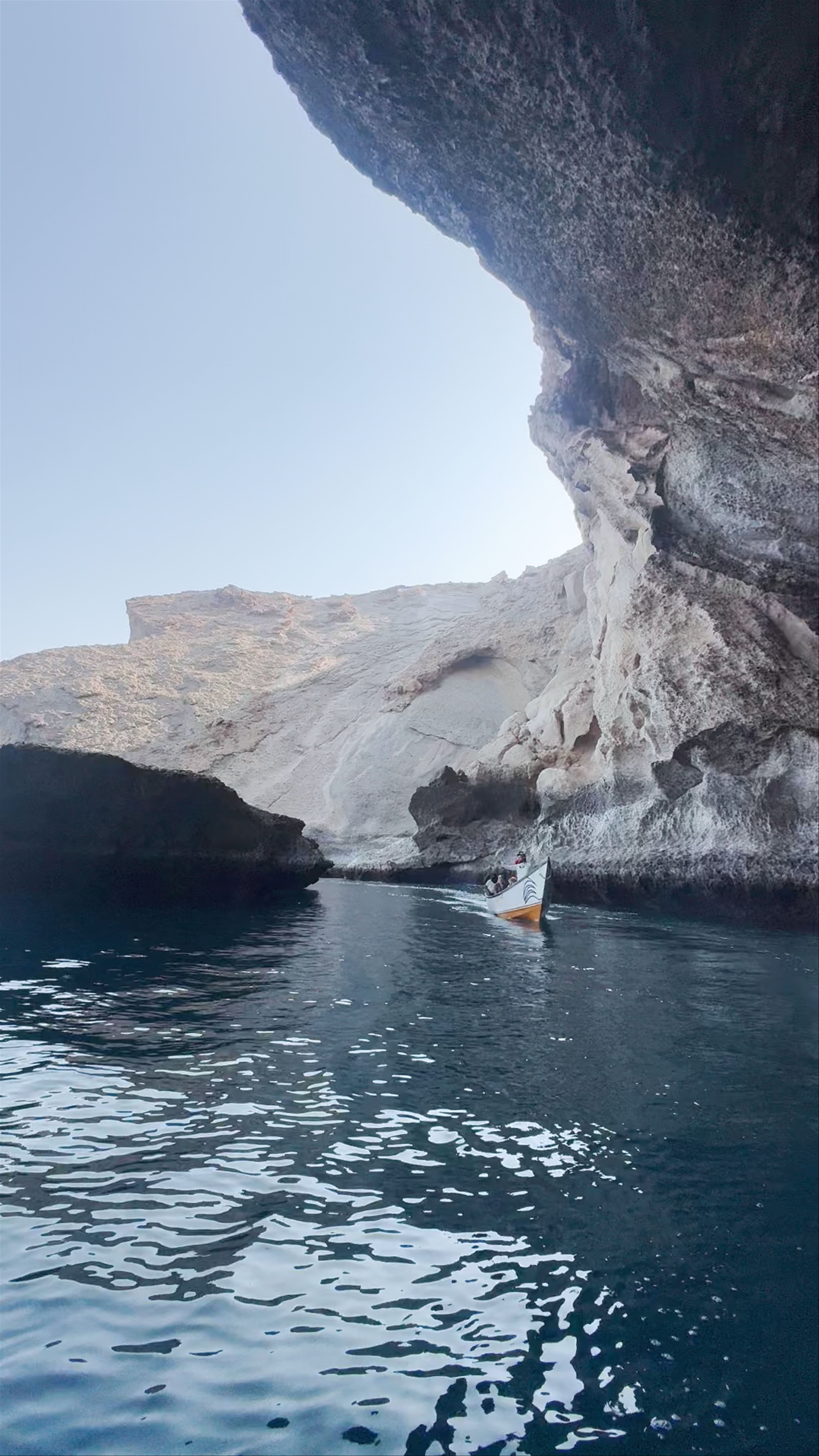 Dolphins Gulf، Qalansiyah