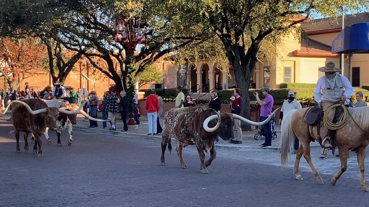 Stockyards Museum - Museums Near Me - Fort Worth, Texas