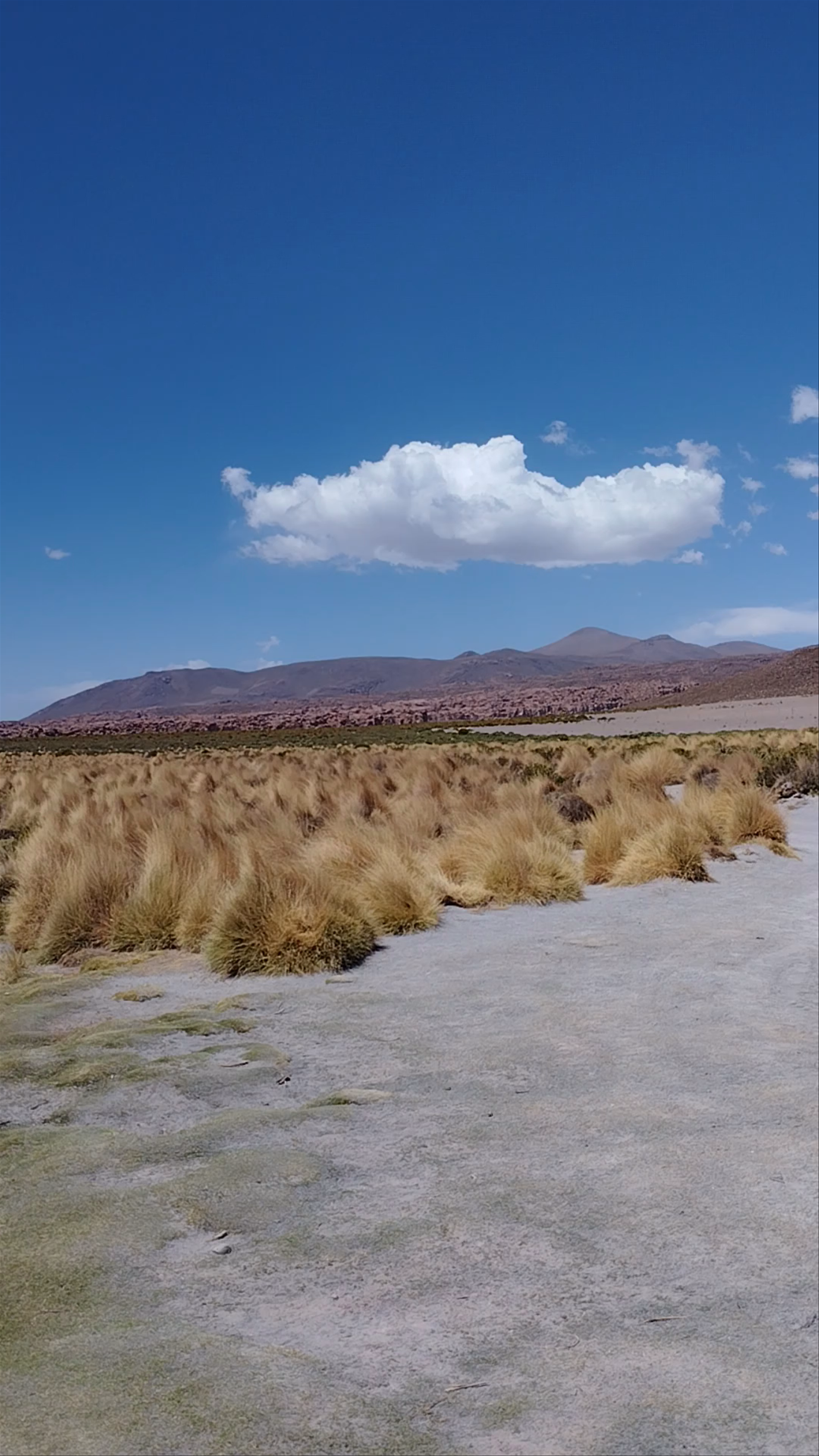 Mirador Laguna Capina: Serene High-Altitude Landscape in Aguas Calientes, Bolivia