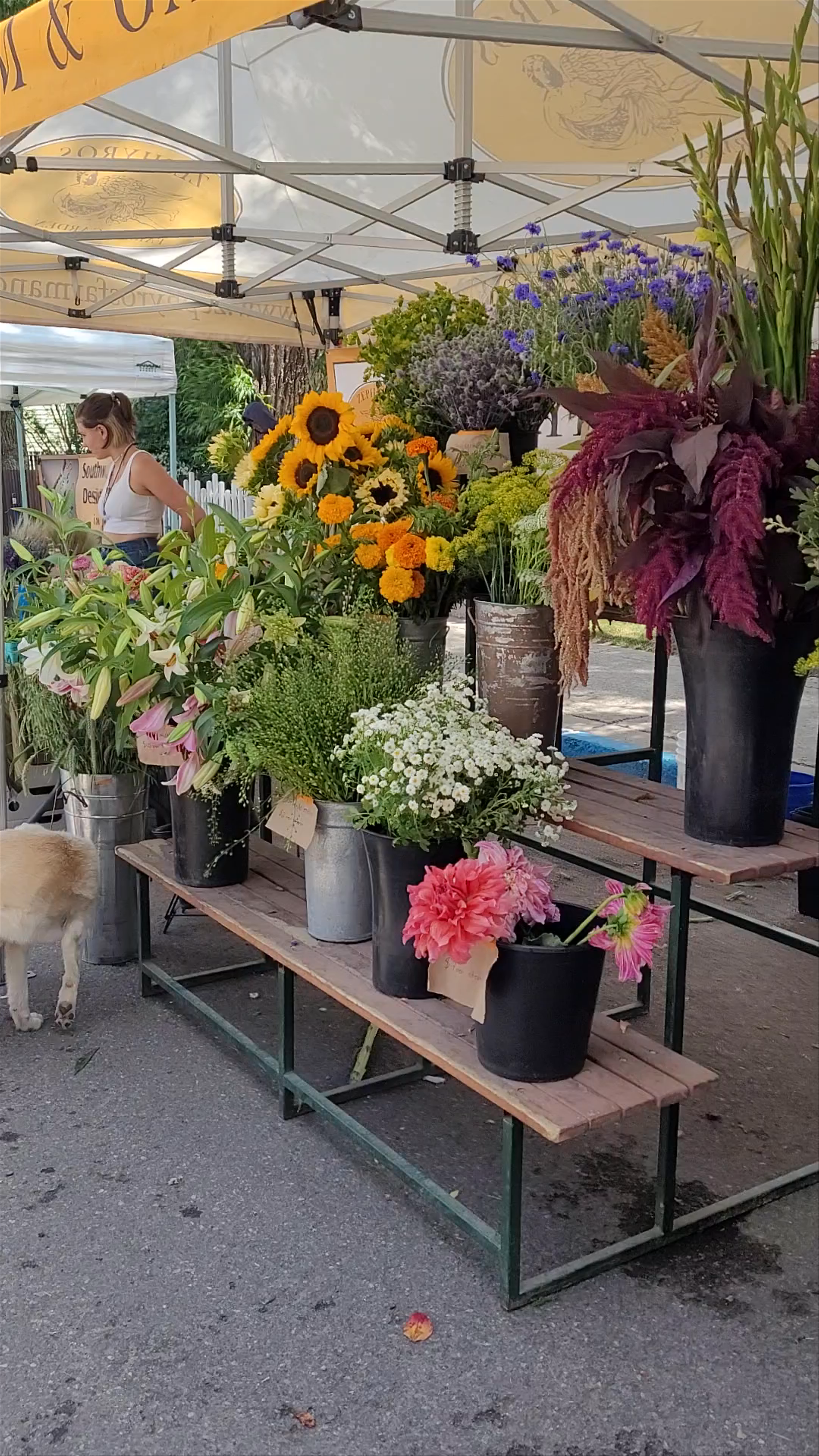 Telluride Farmers Market