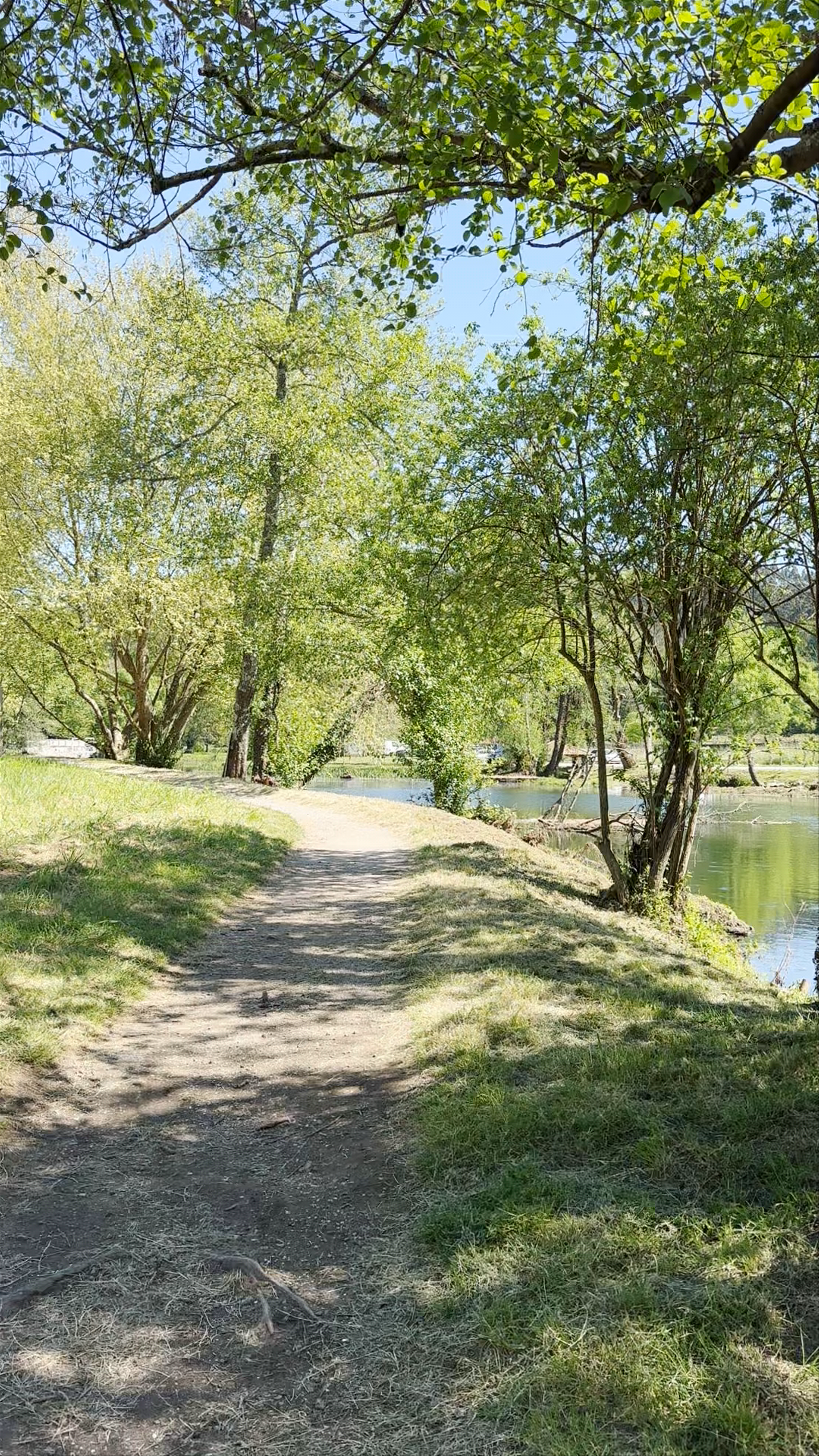 Paseo Fluvial Do Umia