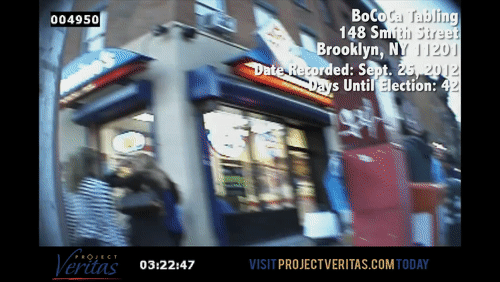 Video Thumbnail Loop