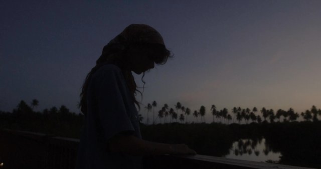 Silhouette of a girl at dusk