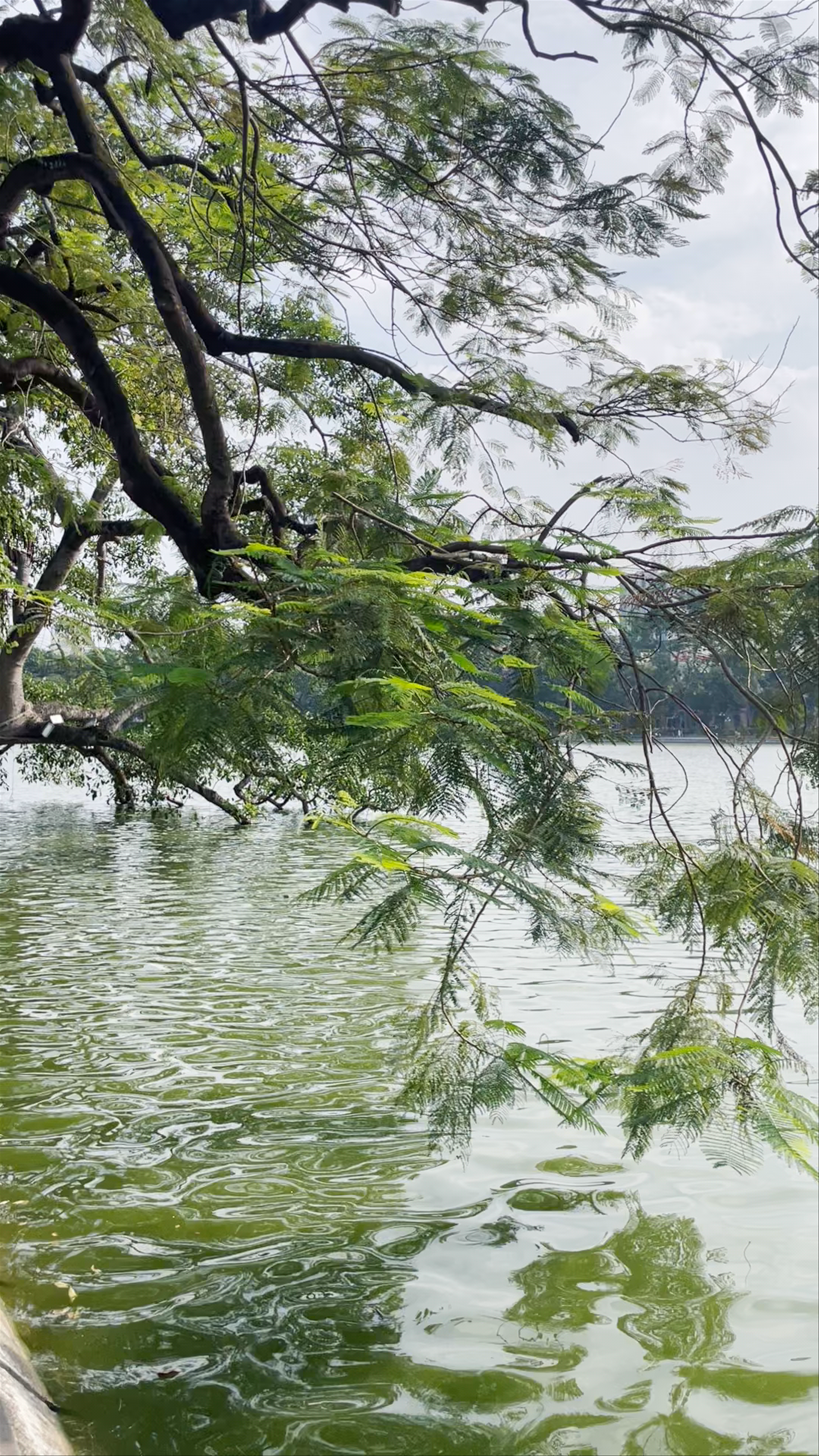 Hoàn Kiếm Lake