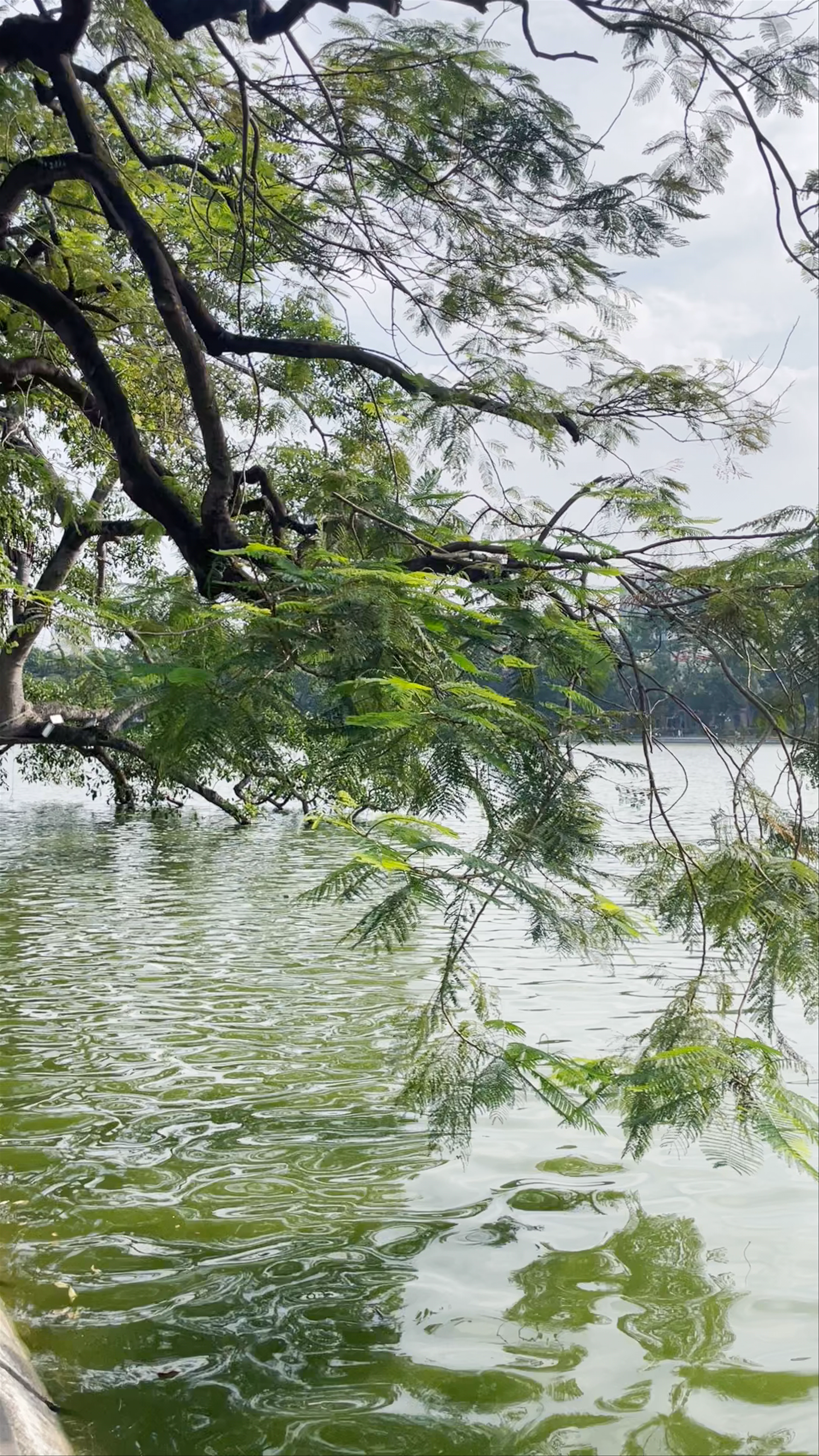 Hoàn Kiếm Lake